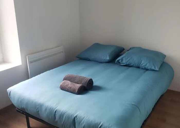 民宿 Avec Wc Et Sdb Prives Dans Grande Maison A Cote Du Campus Artem - Thermal Et Parc Des Expos *